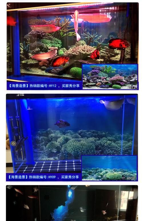 能推薦一些3D風格的紅龍魚壁紙嗎？
