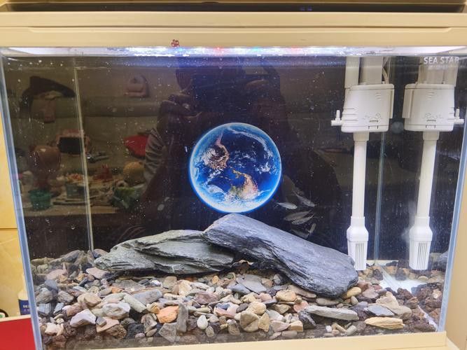 能推薦一些3D風格的紅龍魚壁紙嗎？
