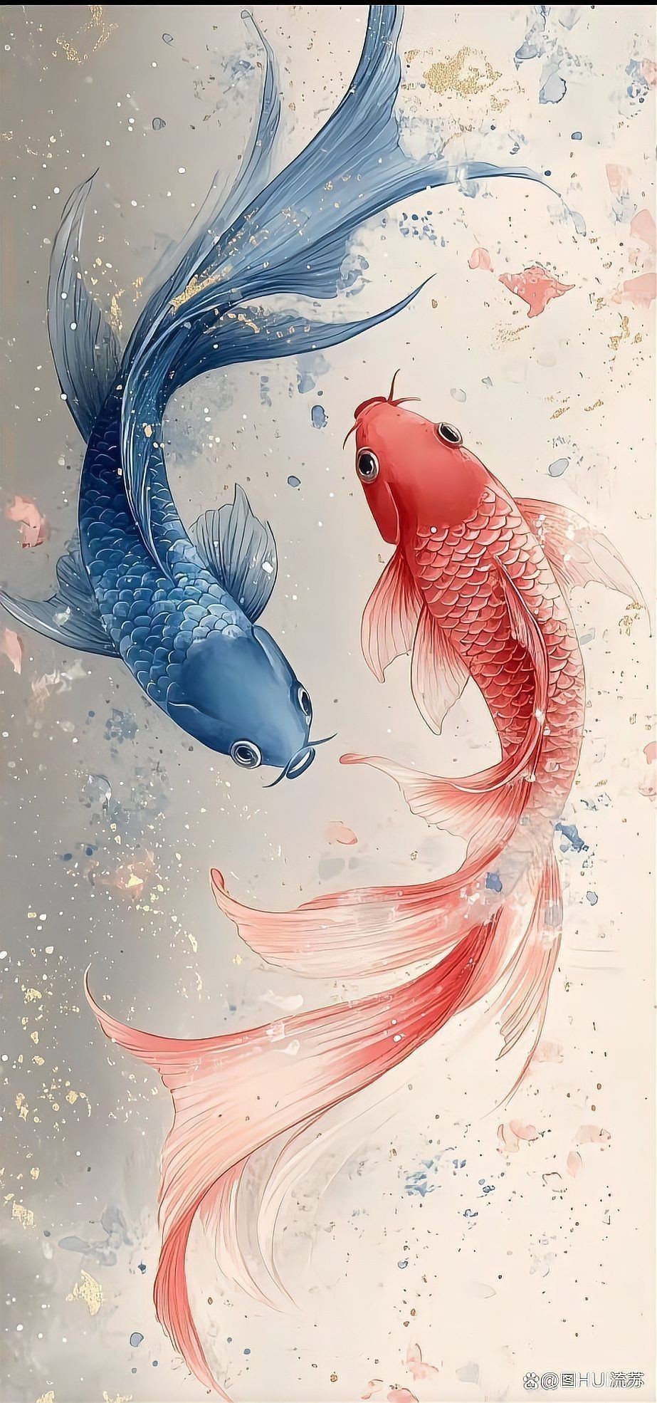 給我一些招財(cái)轉(zhuǎn)運(yùn)魚的壁紙圖片