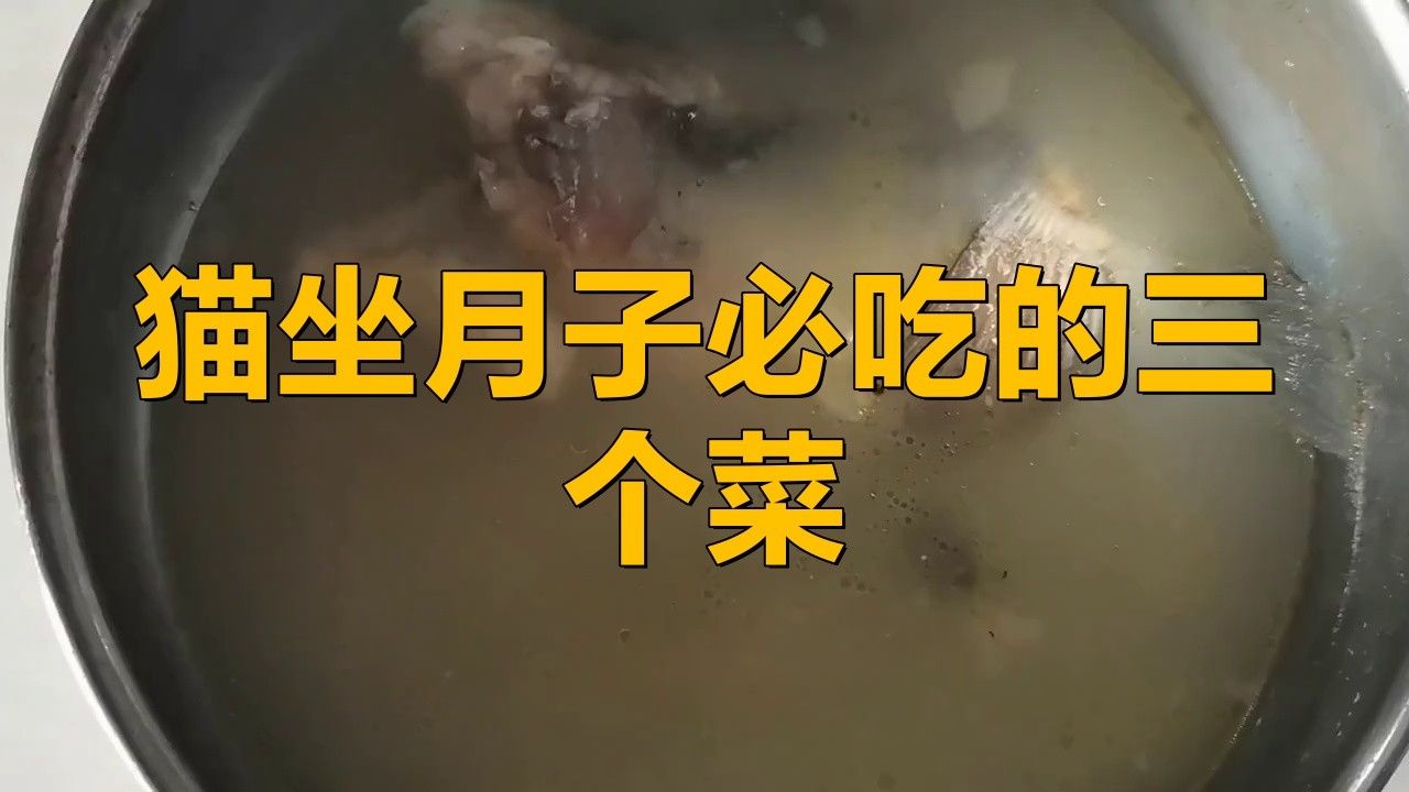 龍貓繁殖后如何照顧母貓？