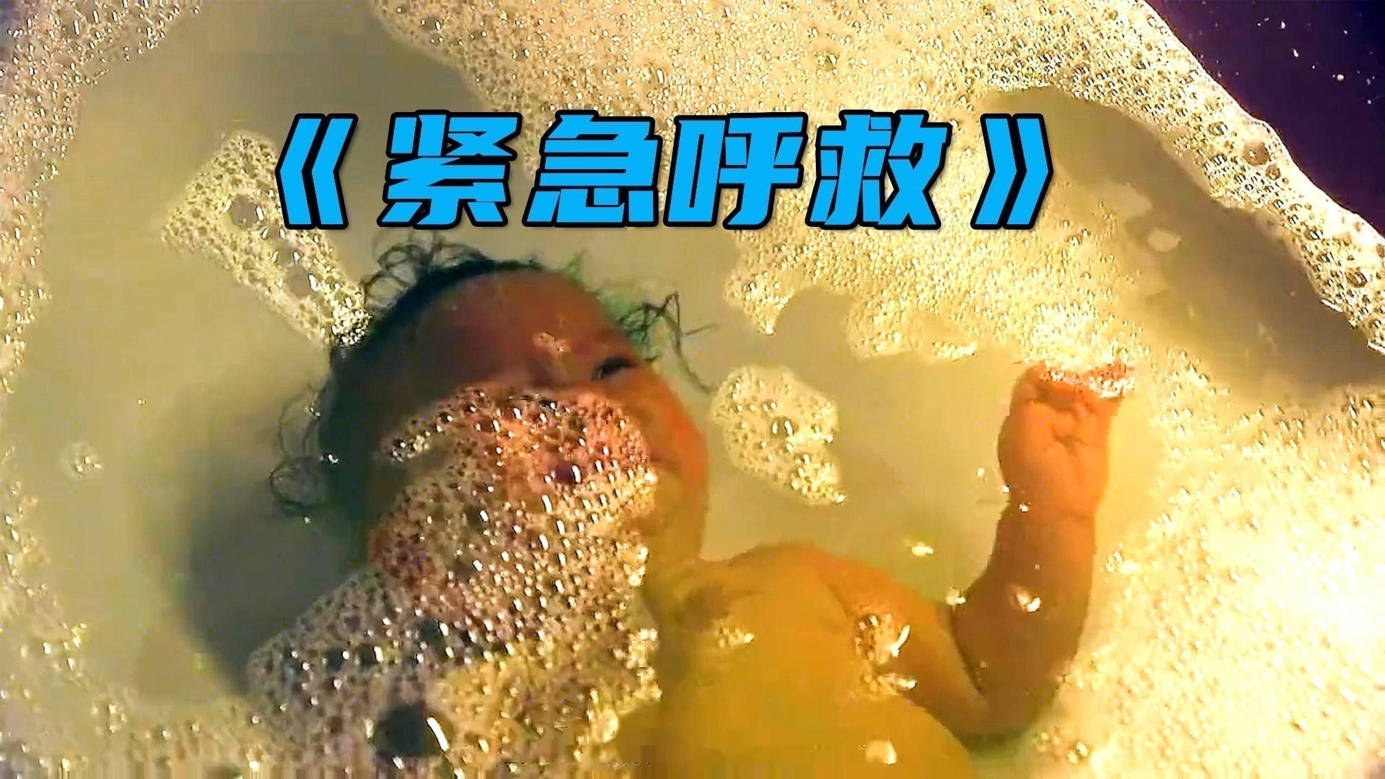 龍貓繁殖后如何照顧母貓？
