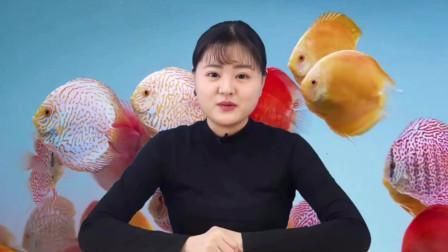 如何判斷魚(yú)是否饑餓？