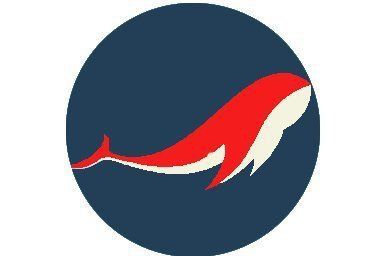 老魚加速器app