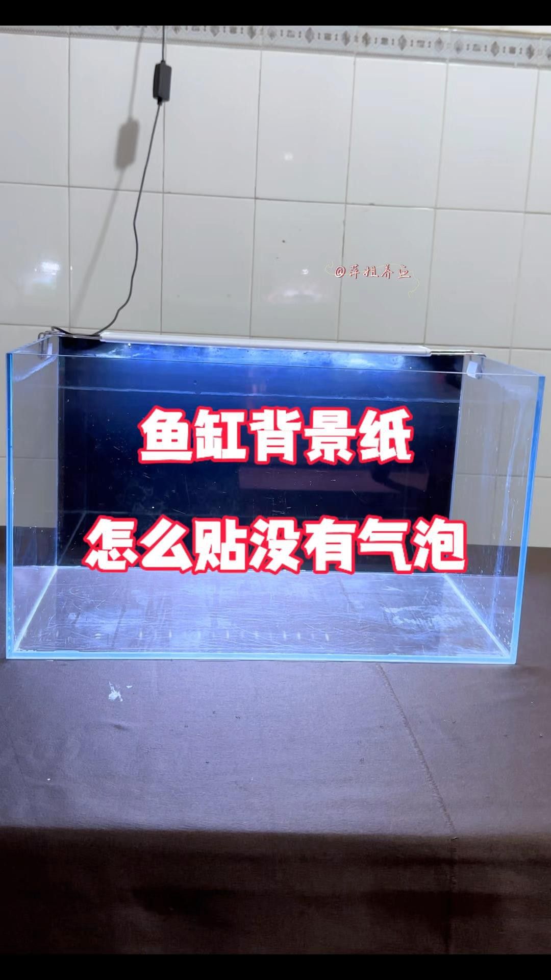 如何安裝龍魚缸壁紙？