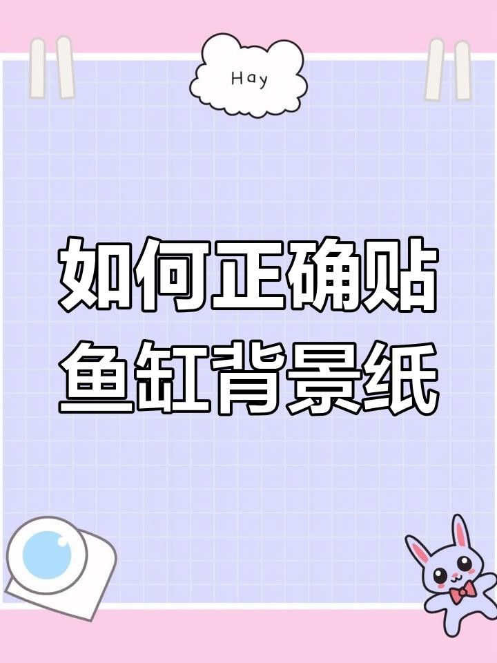 如何安裝龍魚缸壁紙？