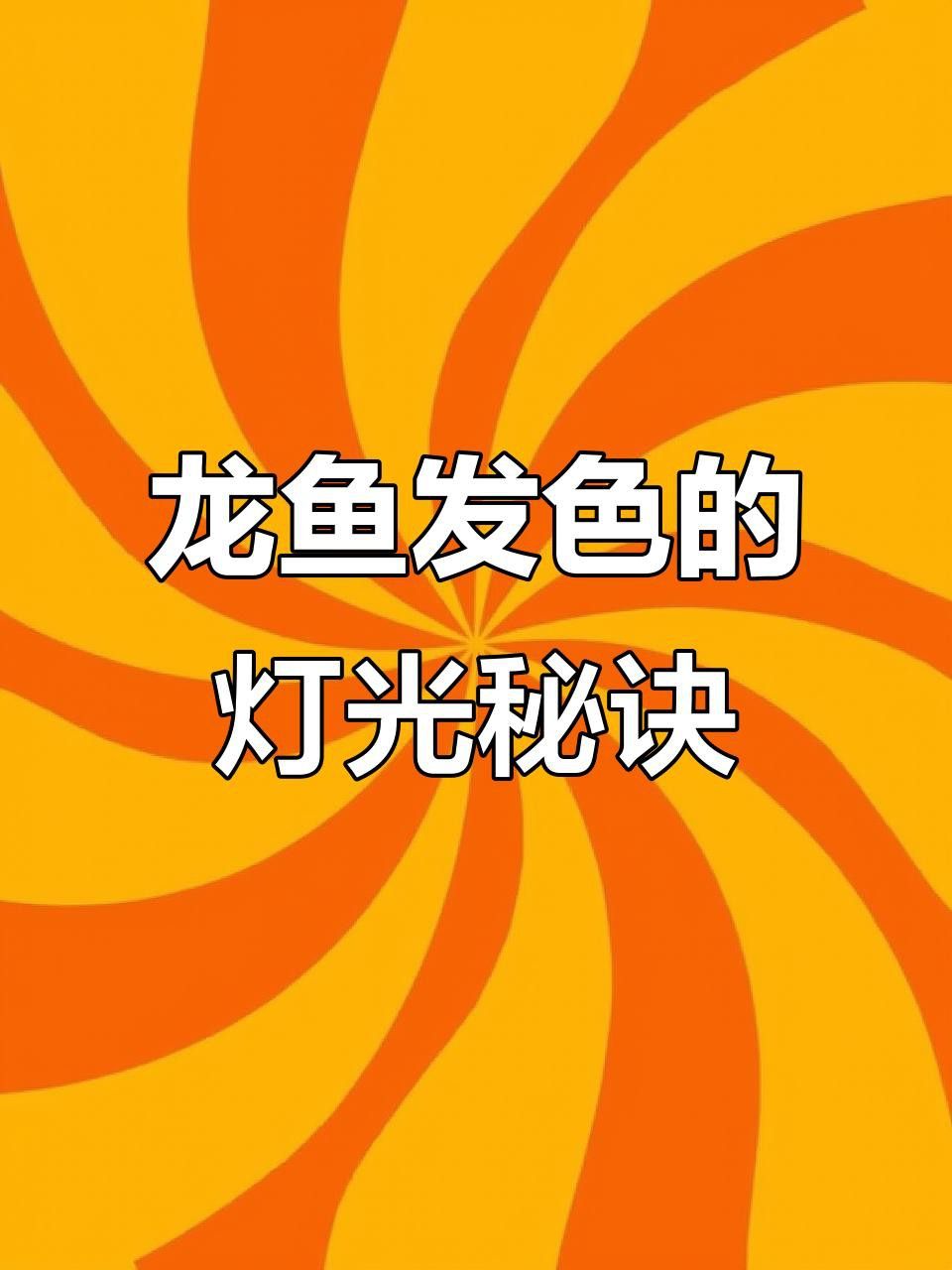 過背藍(lán)底金龍魚發(fā)色需要哪些光照？
