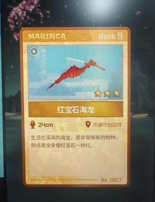 野生海龍魚的圖片高清大全