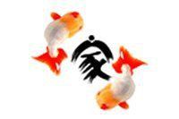 金魚論壇網(wǎng)