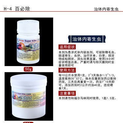 甲硝唑治龍魚什么病：甲硝唑治療龍魚什么病