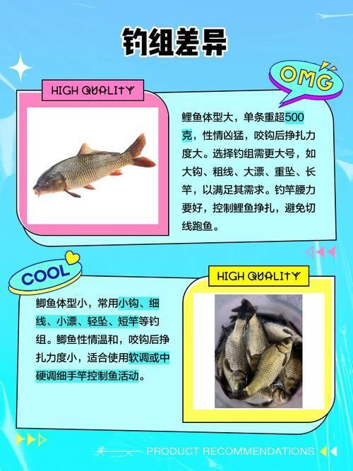 鯉魚和鯽魚圖片對比