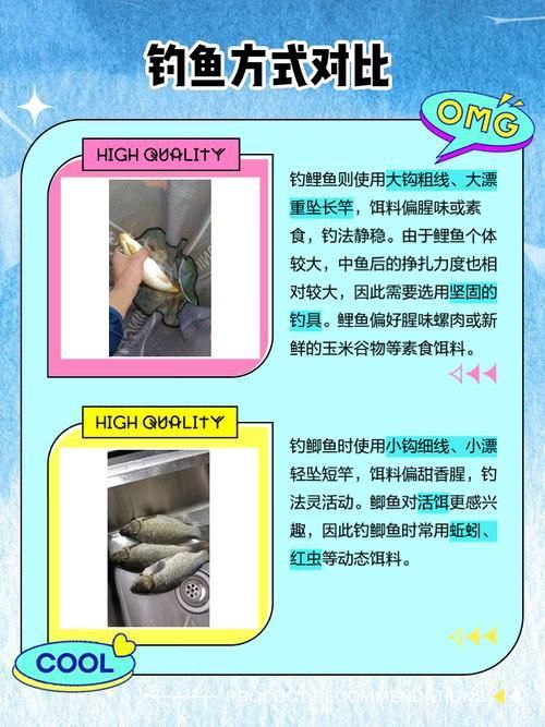 鯉魚和鯽魚圖片對比