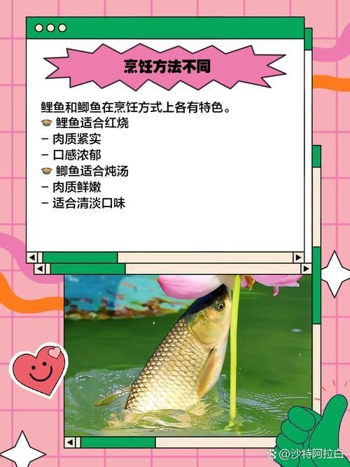 鯉魚和鯽魚圖片對比