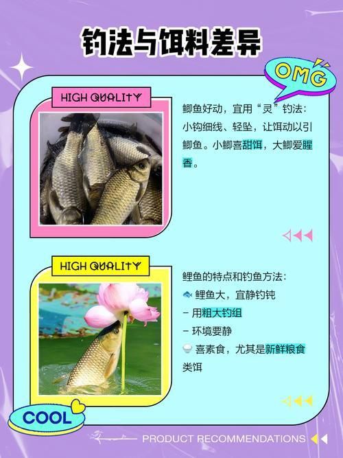 鯉魚和鯽魚圖片對比