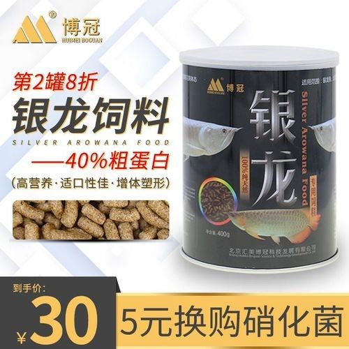 銀龍魚喂什么魚食最好