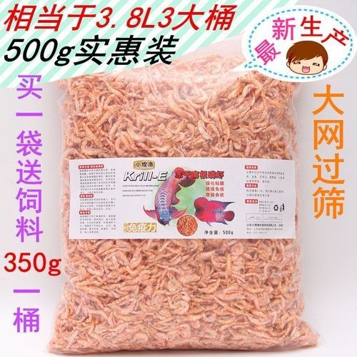 銀龍魚喂什么魚食最好