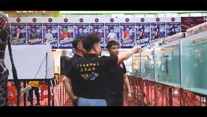 2021年龍魚比賽（2021年盤古杯世界龍魚錦標賽總獎金高達72萬人民幣）