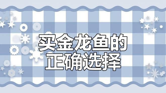 白子金龍魚的價(jià)格是多少？