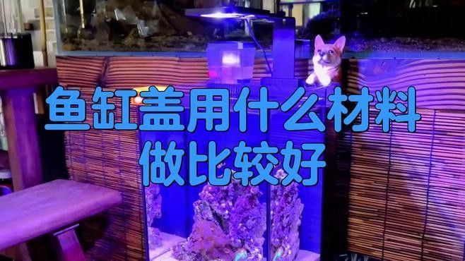 哪種材質的龍魚缸加蓋最耐用？