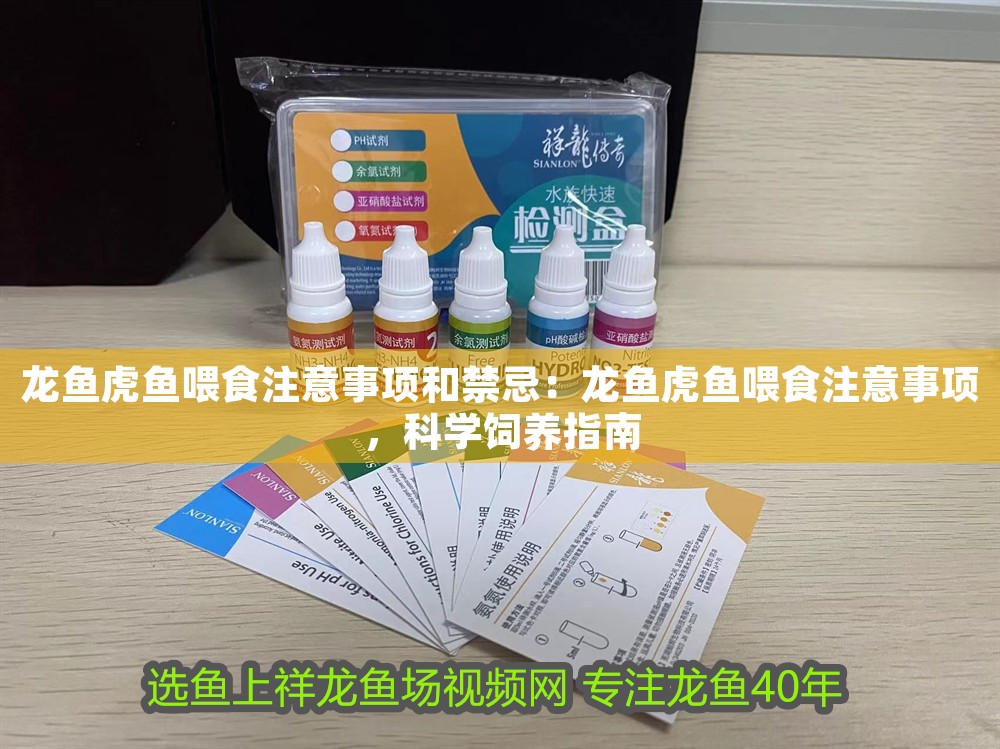 龍魚虎魚喂食注意事項和禁忌：龍魚虎魚喂食注意事項，科學飼養指南