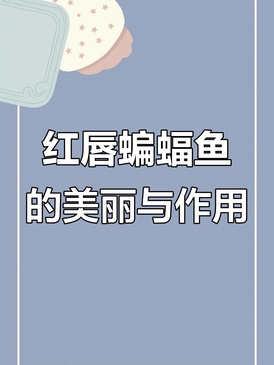紅龍角進化為滿珊瑚需要哪些材料？