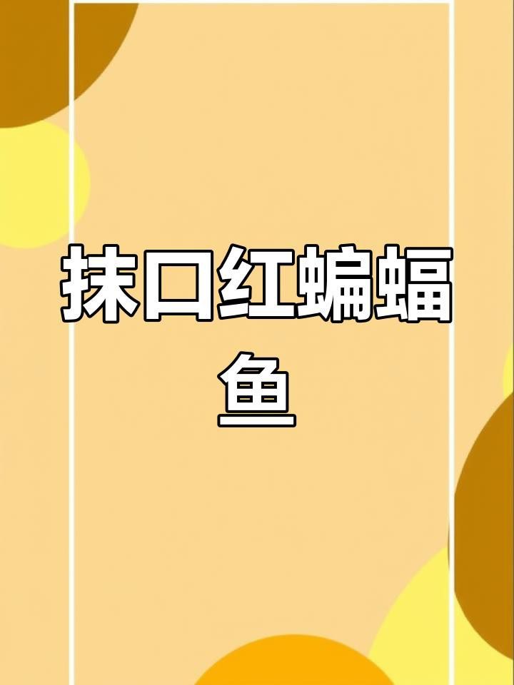 紅龍角進化為滿珊瑚需要哪些材料？