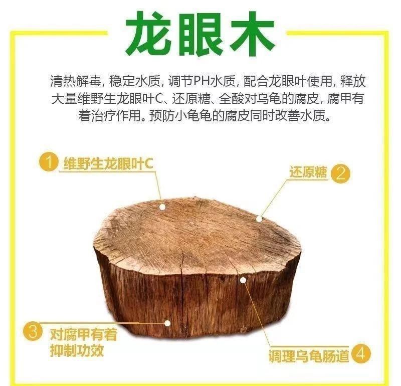 龍龜放魚缸多久清潔一次？
