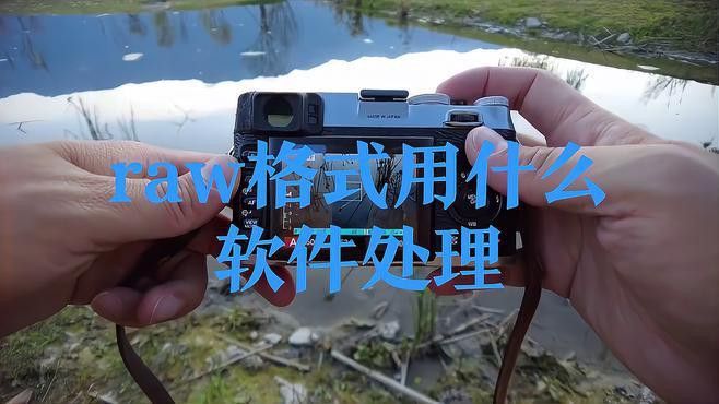 有哪些常用的RAW格式調整工具？