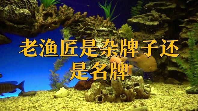 老漁匠是雜牌子還是名牌