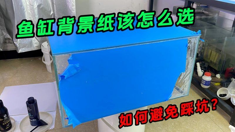 金龍魚缸背景板如何選擇？