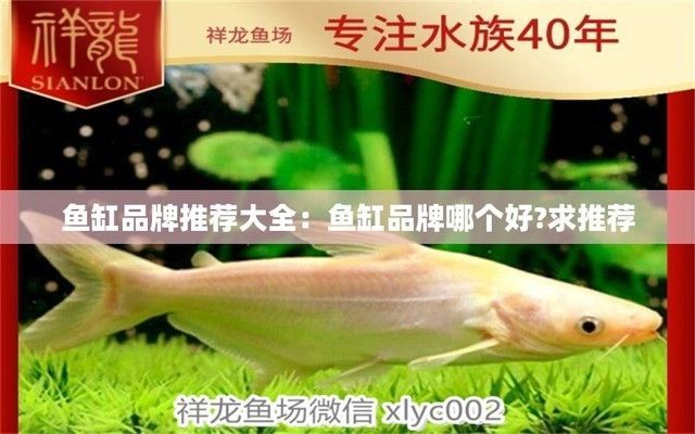魚缸名牌有哪些（魚缸品牌性價比對比）