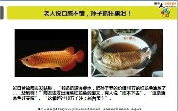 龍魚口感怎樣形容好（龍魚與鯰魚口感區(qū)別，如何挑選新鮮龍魚，龍魚營養(yǎng)價(jià)值介紹）
