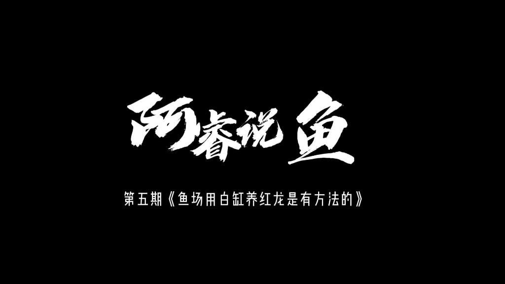 白缸養殖紅龍魚需要哪些特殊設備？