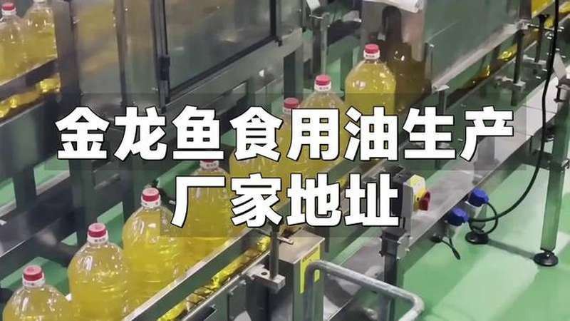 山東金龍魚的生產廠家地址在哪里啊