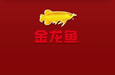 關(guān)于金龍魚的成語(yǔ)（關(guān)于金龍魚的成語(yǔ)：金龍魚的寓意）