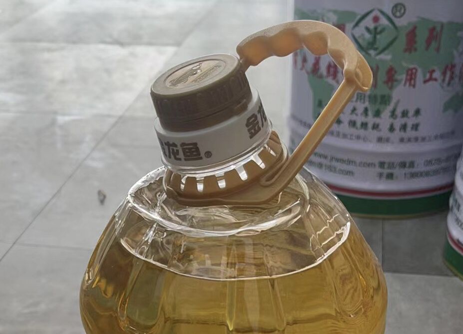 龍魚頭歪著是什么原因（龍魚頭歪可能由多種因素引起）