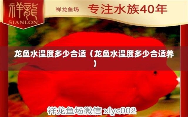 龍魚的水溫控制在多少度最佳？：龍魚水溫控制在多少度之間？