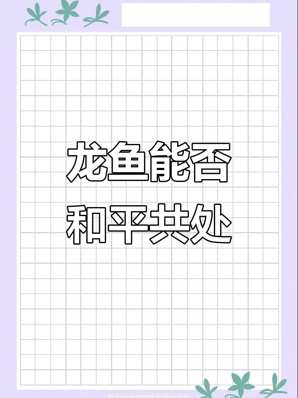 龍魚混養(yǎng)有哪些成功案例？