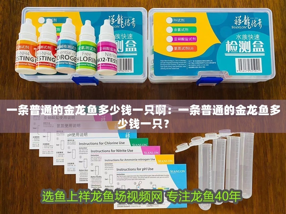 一條普通的金龍魚(yú)多少錢(qián)一只啊：一條普通的金龍魚(yú)多少錢(qián)一只？