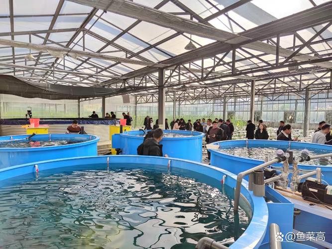 給我推薦幾家信譽良好的金龍魚養(yǎng)殖場