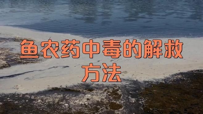 龍魚歷史漁政：龍魚養(yǎng)殖業(yè)的發(fā)展引起人們關(guān)注，