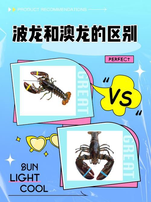 斑龍魚是什么魚圖片大全大圖