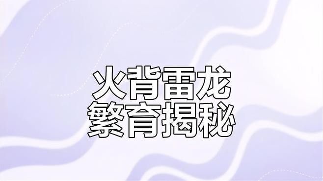 雷龍魚成體多大可以繁殖