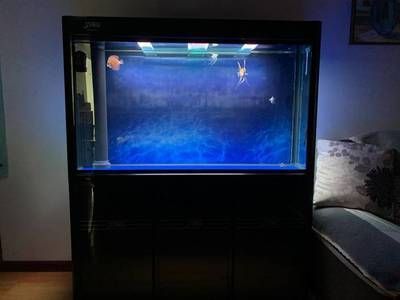 森森底濾魚缸拆卸視頻教程，b站森森底濾魚缸拆卸視頻如何安全拆卸森森底濾魚缸？