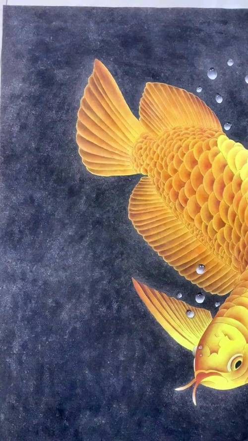 國畫金龍魚圖片大全大圖視頻