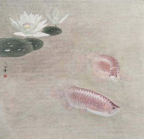 國畫金龍魚圖片大全大圖視頻