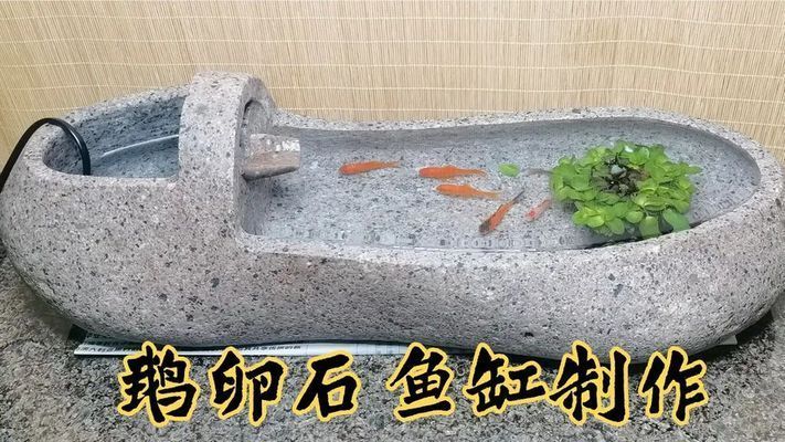鵝卵石魚缸造景圖片擺法視頻（如何選擇合適的鵝卵石水族箱造景創(chuàng)意設(shè)計(jì)案例）