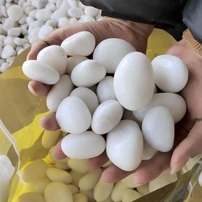 鵝卵石魚缸造景圖片擺法視頻（如何選擇合適的鵝卵石水族箱造景創(chuàng)意設(shè)計(jì)案例）