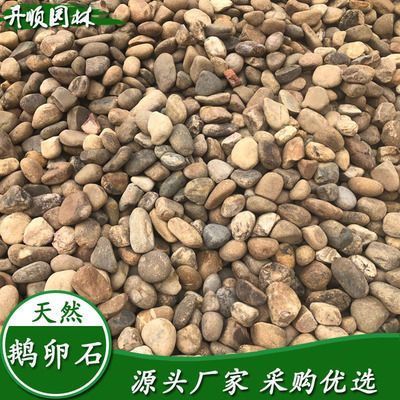 鵝卵石魚缸造景圖片擺法視頻（如何選擇合適的鵝卵石水族箱造景創(chuàng)意設(shè)計(jì)案例）