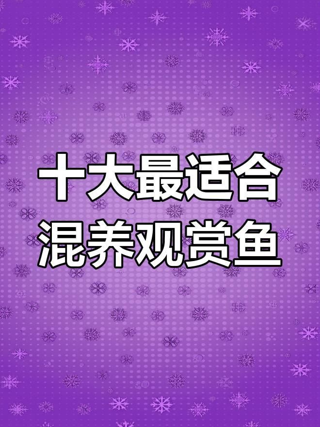 哪些魚適合混養