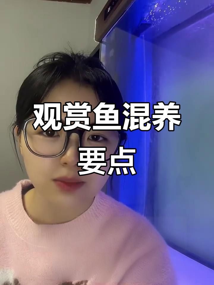 哪些魚適合混養